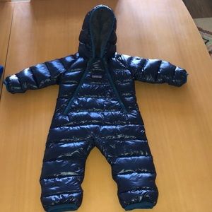 Patagonia Down Bunting